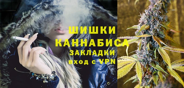 индика Вязники