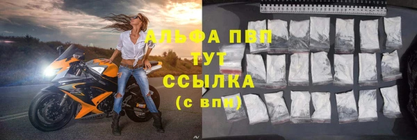 МДПВ Вяземский