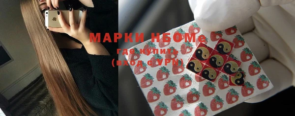 индика Вязники