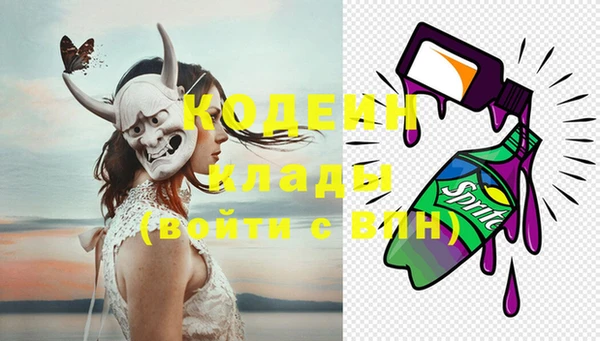 индика Вязники