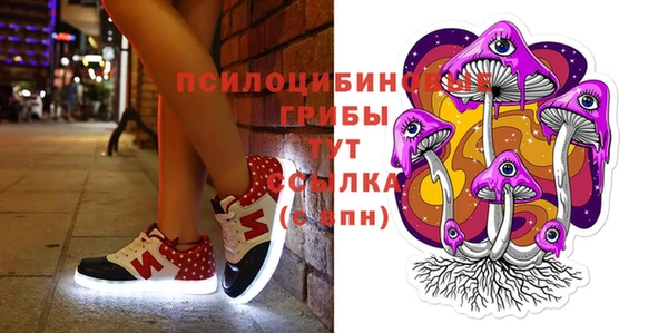 mix Горняк