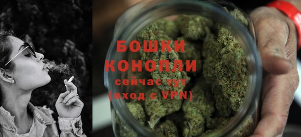 индика Вязники