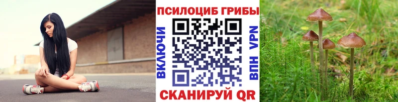Галлюциногенные грибы GOLDEN TEACHER  Черемхово 
